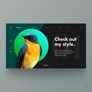 welovewebdesign 57000894 325071031528685 8862341410216558530 n
