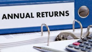 annual returns limitlesszw